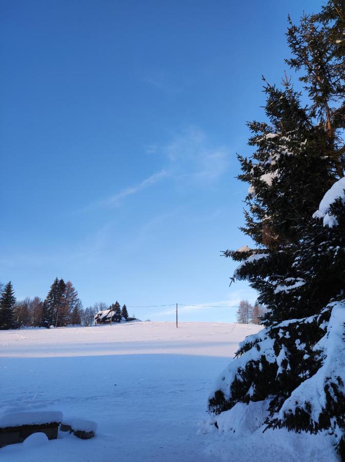 Sirovka Villa Horní Polubný Exteriör bild
